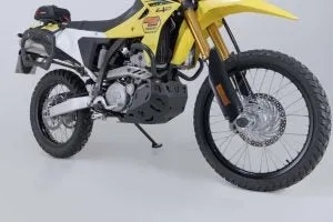 Что это, Kawasaki Versys 900? — фото 4