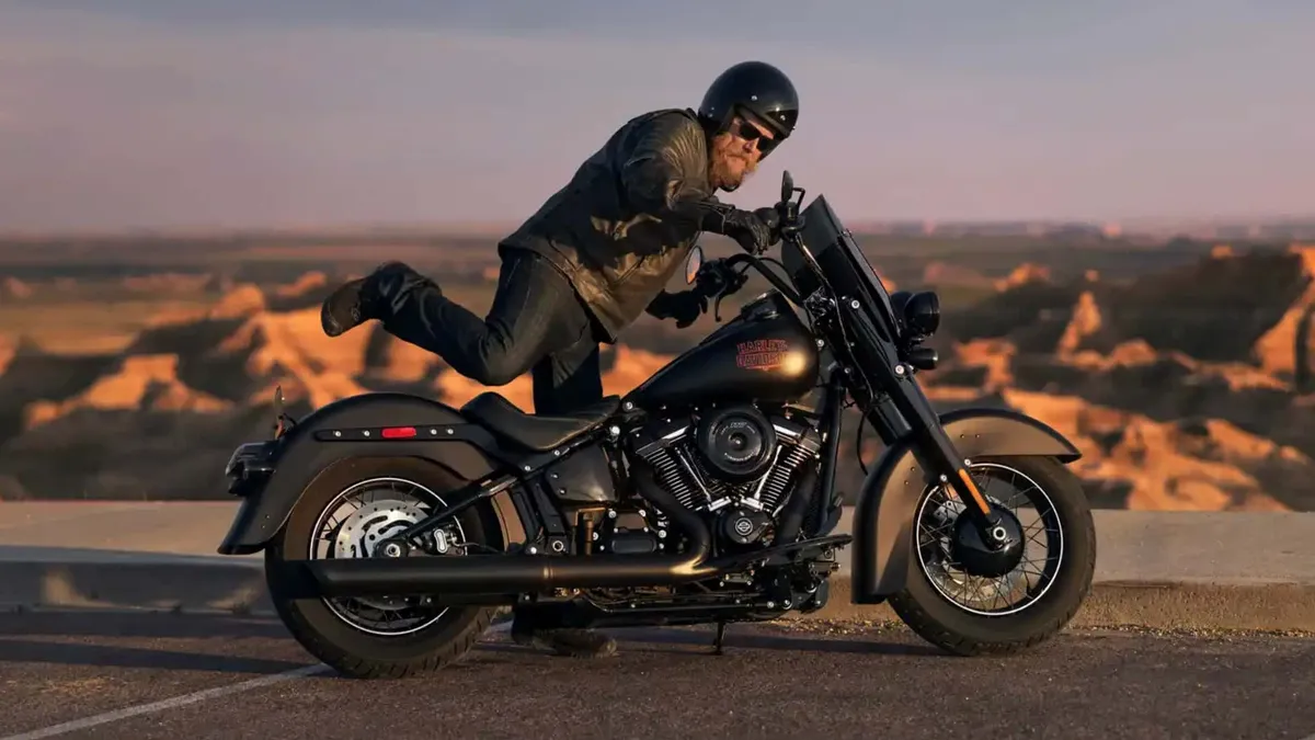 Уже огромный каталог кастомизации Harley-Davidson станет ещё больше — фото 4