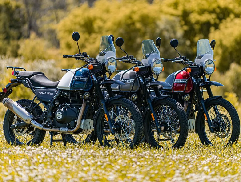 Royal Enfield готовит внедорожную версию Himalayan 450 «Rally»? — фото 4