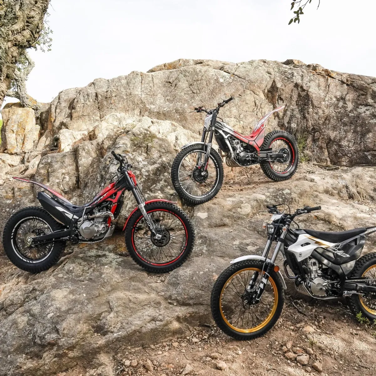 BMW R1300 GS Adventure получил красочное преображение в стиле Октоберфест — фото 4