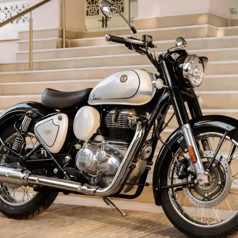 Royal Enfield One Ride 2026: 150 000 мотоциклистов в седле ради спасения снежного барса — фото 2
