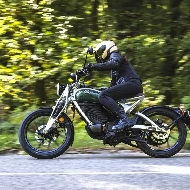 Royal Enfield One Ride 2026: 150 000 мотоциклистов в седле ради спасения снежного барса — фото 3
