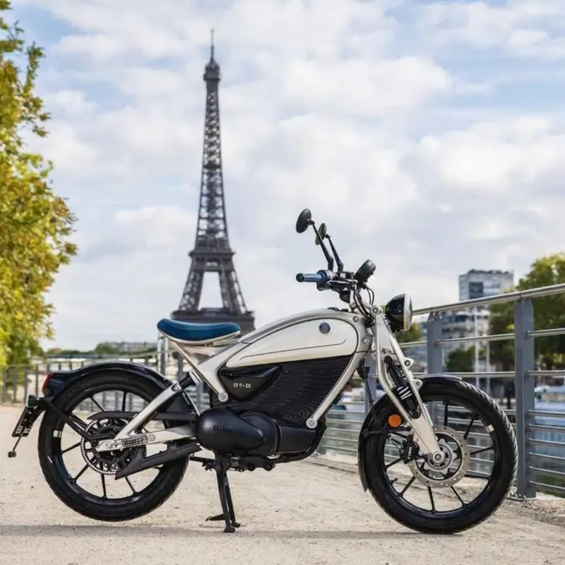 Royal Enfield One Ride 2026: 150 000 мотоциклистов в седле ради спасения снежного барса — фото 4
