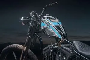 Магия пустыни: кастомный Sportster-чоппер от Майка Рабидо — фото 2