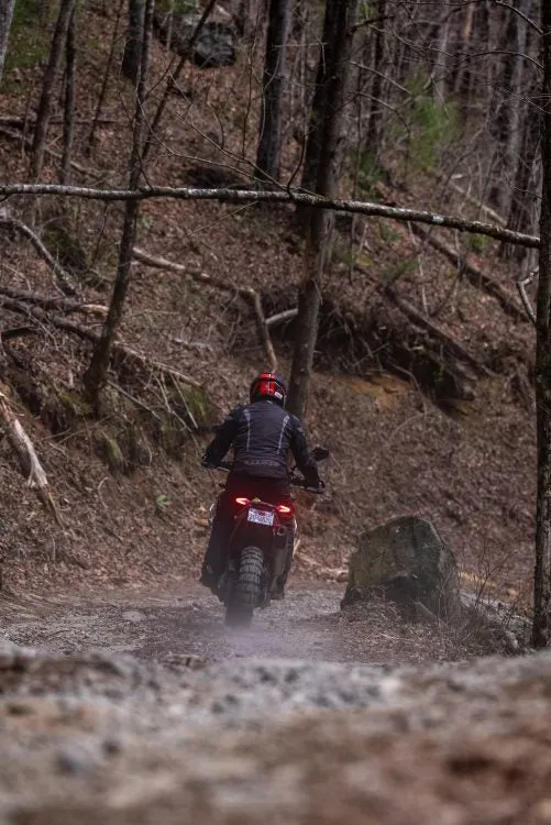 BMW F900 GS: просто работает — фото 3